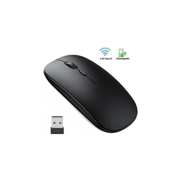 Souris X2 Bluetooth Sans Fil Rechargeable - 2.4Ghz - Noir